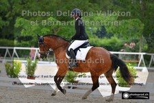 ref. photo 3230288