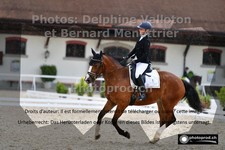 ref. photo 3230290