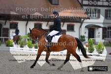 ref. photo 3230292
