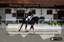 ref. photo 3230309
