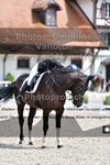 ref. photo 3230331