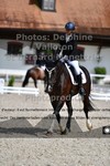 ref. photo 3230342
