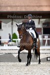 ref. photo 3230419