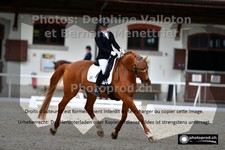 ref. photo 3230471