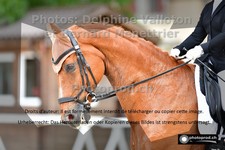 ref. photo 3230476