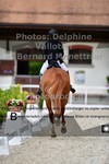 ref. photo 3230478