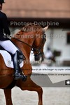 ref. photo 3230493
