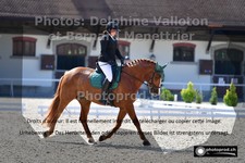 ref. photo 3230533