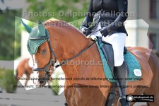 ref. photo 3230541