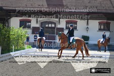 ref. photo 3230545