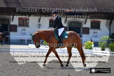 ref. photo 3230551