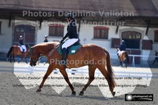 ref. photo 3230552