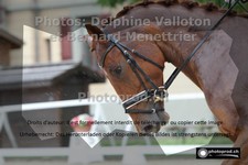 ref. photo 3230564