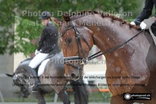 ref. photo 3230568