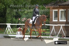 ref. photo 3230574