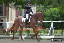 ref. photo 3230580