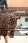 ref. photo 3230584