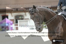 ref. photo 3230600
