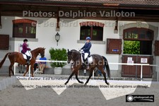 ref. photo 3230630