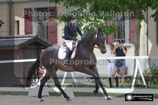ref. photo 3230725