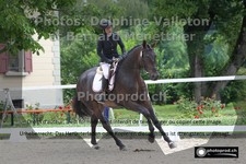 ref. photo 3230726