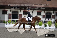 ref. photo 3230812