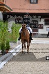 ref. photo 3230821