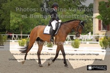 ref. photo 3230842