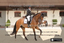 ref. photo 3230847