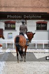 ref. photo 3230908