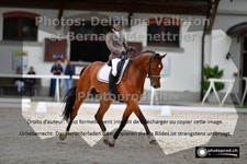 ref. photo 3230925