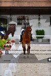 ref. photo 3230945