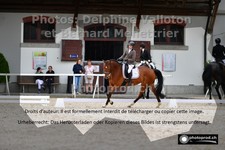 ref. photo 3230949
