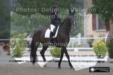 ref. photo 3230956