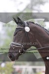 ref. photo 3230958