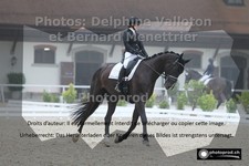 ref. photo 3230966