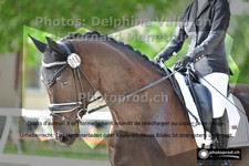 ref. photo 3231004