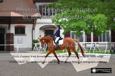ref. photo 3231009