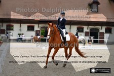 ref. photo 3231015