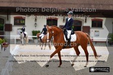 ref. photo 3231033