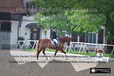 ref. photo 3231052