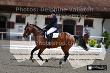 ref. photo 3231106