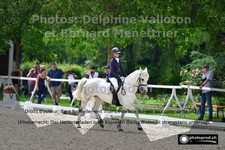 ref. photo 3231131