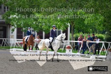 ref. photo 3231147