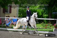 ref. photo 3231154