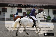ref. photo 3231155