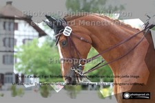 ref. photo 3231166