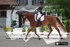ref. photo 3231168