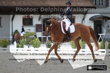 ref. photo 3231169