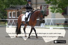 ref. photo 3231188